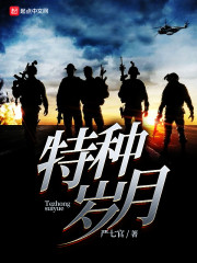 《特种岁月》