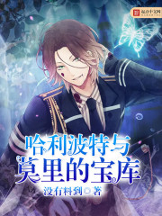 《哈利波特与莫里的宝库》