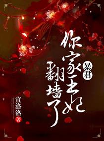 《暴君，你家王妃翻墙了》