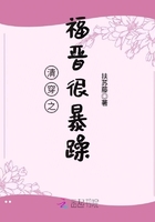 《清穿之福晋很暴躁》