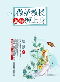 《诺盏经年》
