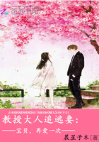 《教授大人追逃妻：宝贝，再爱一次》
