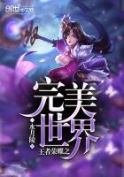 《王者荣耀之完美世界》