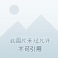 超品农婿