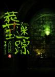 《葬玉迷踪》