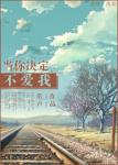 《当你决定不爱我》