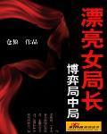 《博弈局中局：漂亮女局长》