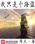 《我只是个海盗》
