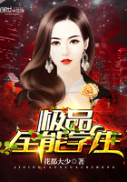 《极品全能高手》