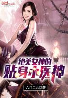 《绝美女神的贴身小医神》