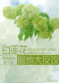 《白莲花掘地大反攻》