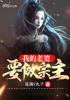 《我的老婆要做宗主》