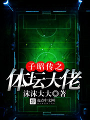 《子昭传之体坛大佬》