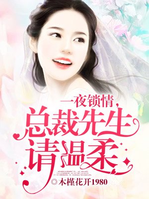 《一夜锁情，总裁先生请温柔》