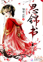 《思锦书》