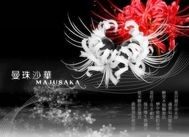 《画墨》