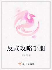 《反式攻略手册》
