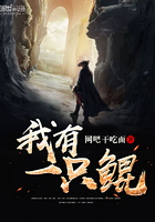 《我有一只鲲》