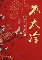 《这个太子不太冷》