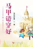 《夫人马甲请穿好》