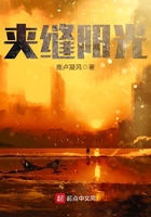 《夹缝阳光》