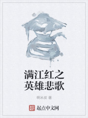 《满江红之英雄悲歌》