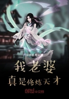 《我老婆真是修炼天才》