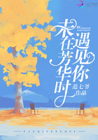 《未在芳华时遇见你》