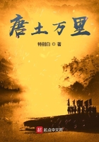 《唐土万里》