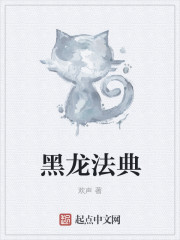 《黑龙法典》