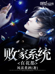 《败家系统在花都》
