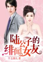 《陆公子的绯闻女友》