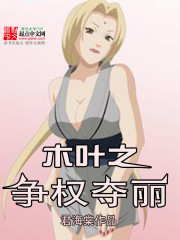 《木叶之争权夺丽》