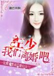 《左少，我们离婚吧》