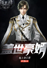 《盖世豪婿》