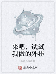《来吧，试试我做的外挂》