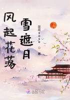 《风起花落雪遮月》