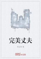 《完美丈夫》