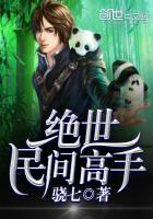 《绝世民间高手》