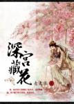 《深宫藏花》