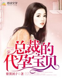 《总裁的代孕宝贝》