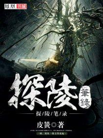 《探陵笔录》