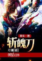 《我有一把斩魄刀》