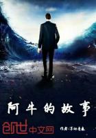 《阿牛的故事》