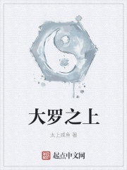 《大罗之上》