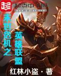 《末世危机之英雄联盟》