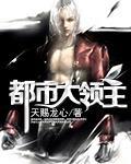 《都市大领主》