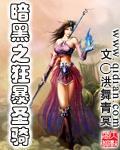 《暗黑之狂暴圣骑》