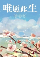 《唯愿此生淡如风》