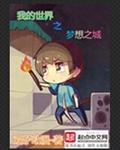 《我的世界之梦想之城》